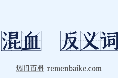 混血兒反义词是什么意思的图片